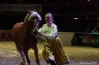 Horse Show 07.10.2012